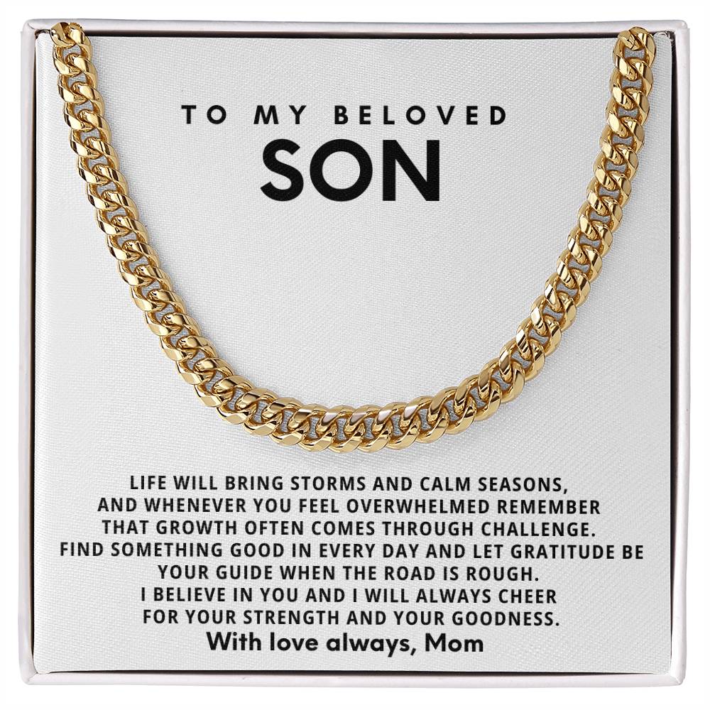 To my beloved son, Let gratitude be your guide when the road is rough