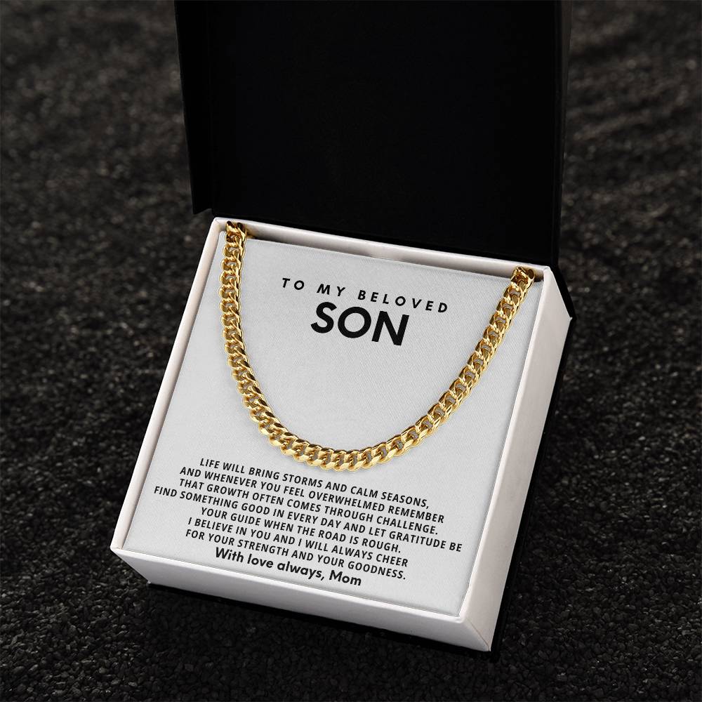 To my beloved son, Let gratitude be your guide when the road is rough