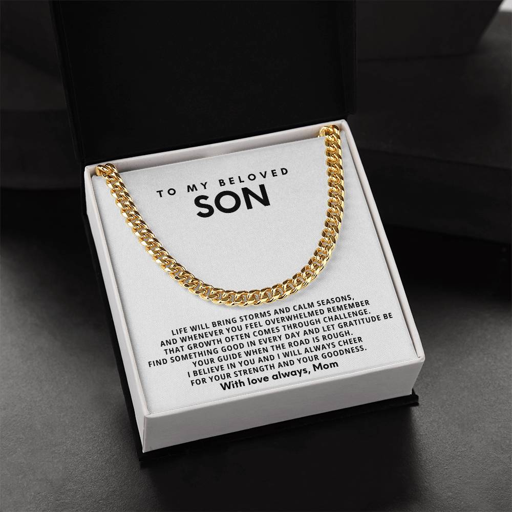 To my beloved son, Let gratitude be your guide when the road is rough