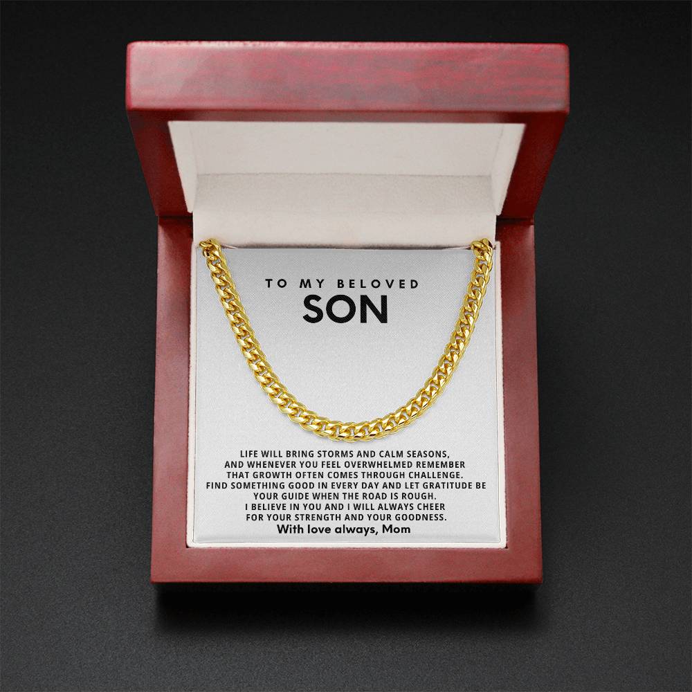 To my beloved son, Let gratitude be your guide when the road is rough
