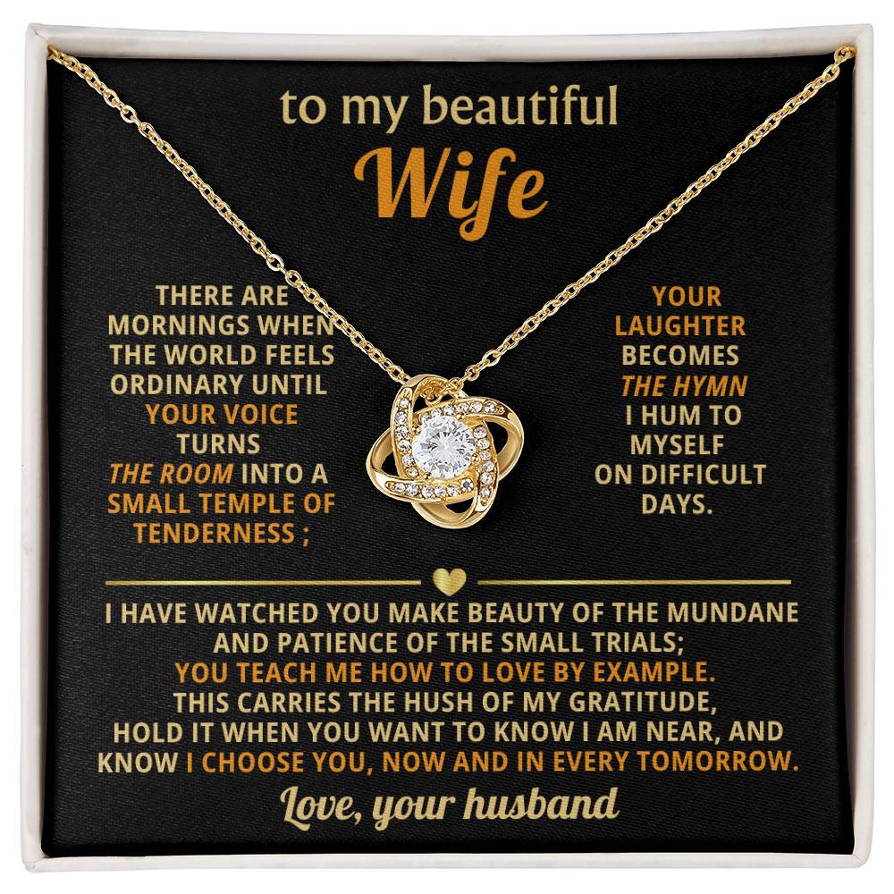 To my beautiful Wife, You teach me how to love by example