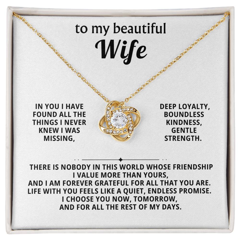 To my beautiful wife, In you I have found all the things I never knew I was missing