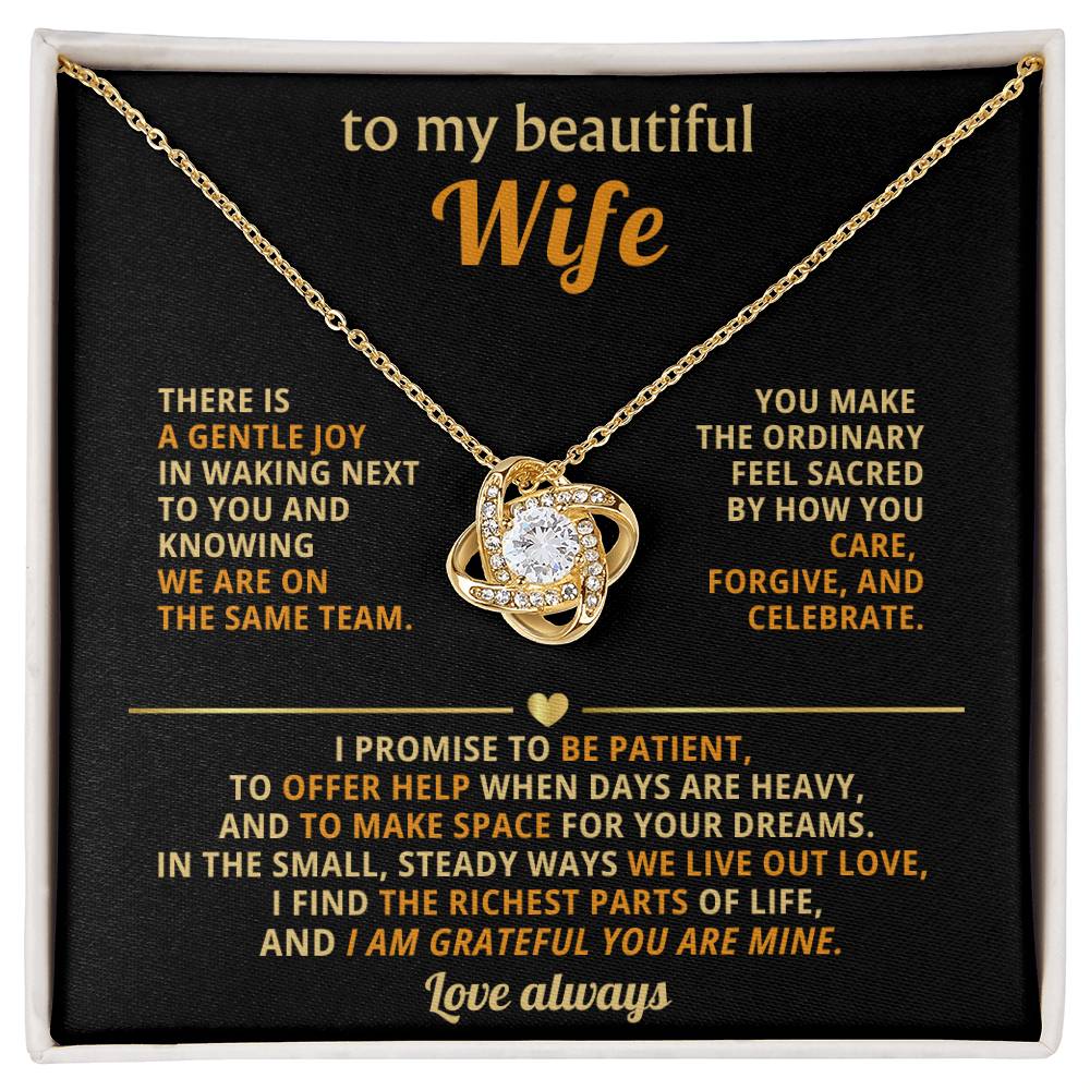 To my beautiful Wife, I find the richest parts of life, and I am grateful you are mine.
