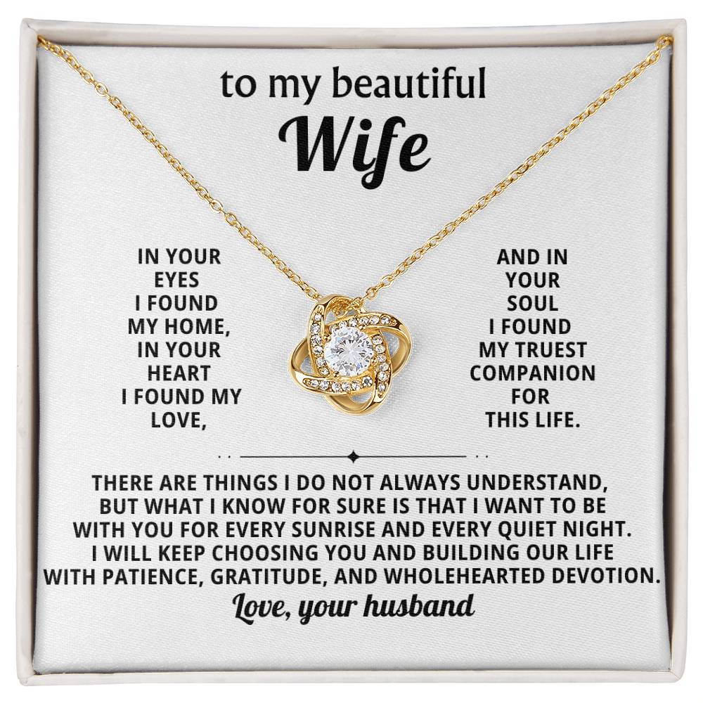 To my beautiful Wife, in your soul I found my truest companion for this life