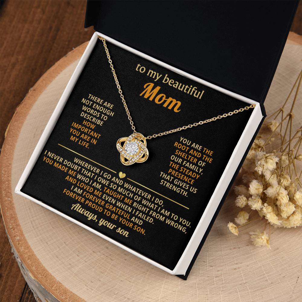 To My Mom, You are the root and the shelter of our family