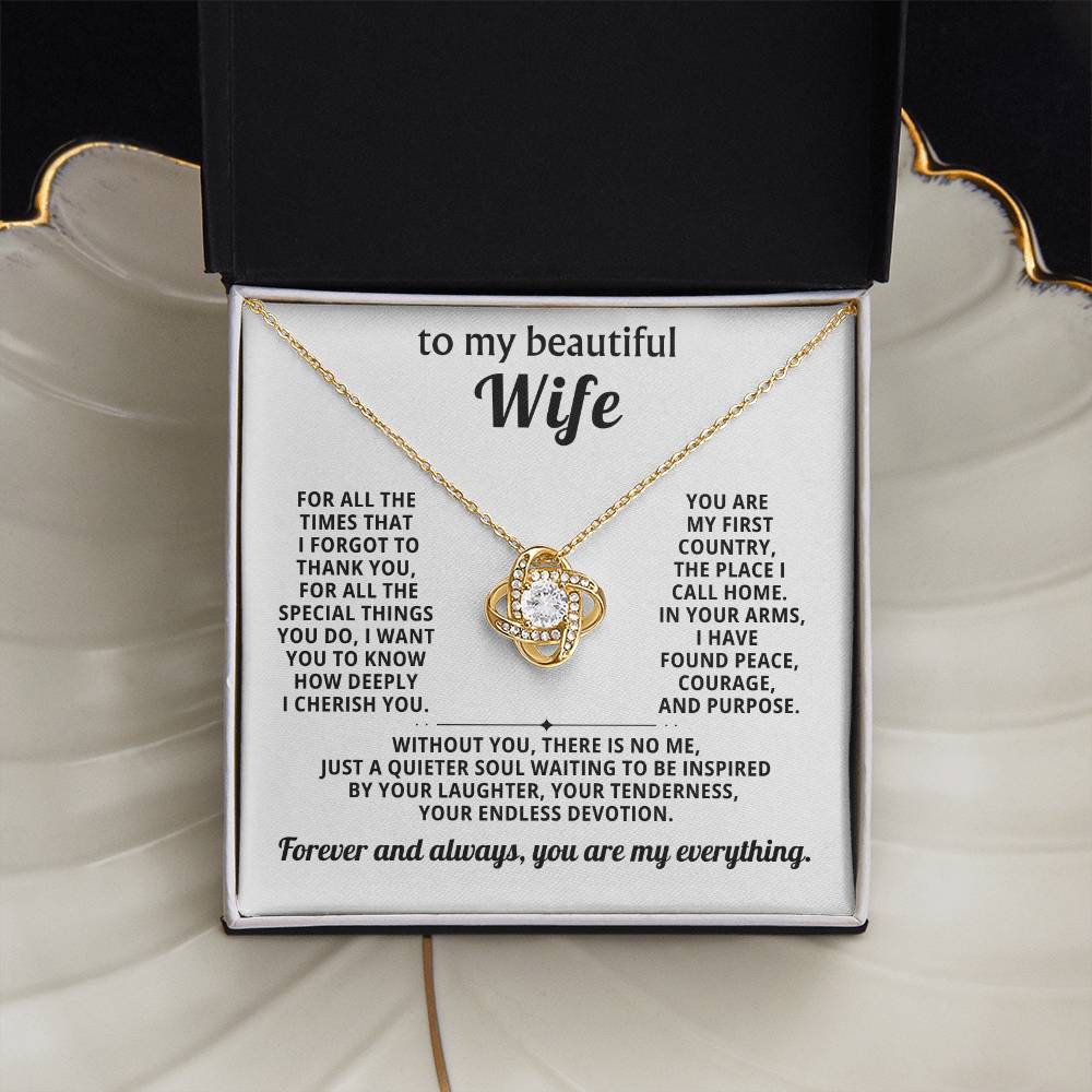 To my beautiful wife, Forever and always, you are my everything