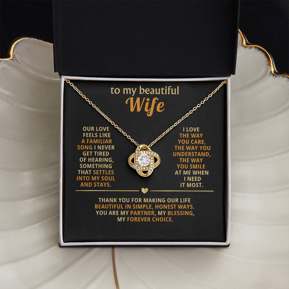 To my beautiful wife, I love the way you care, the way you understand, the way you smile