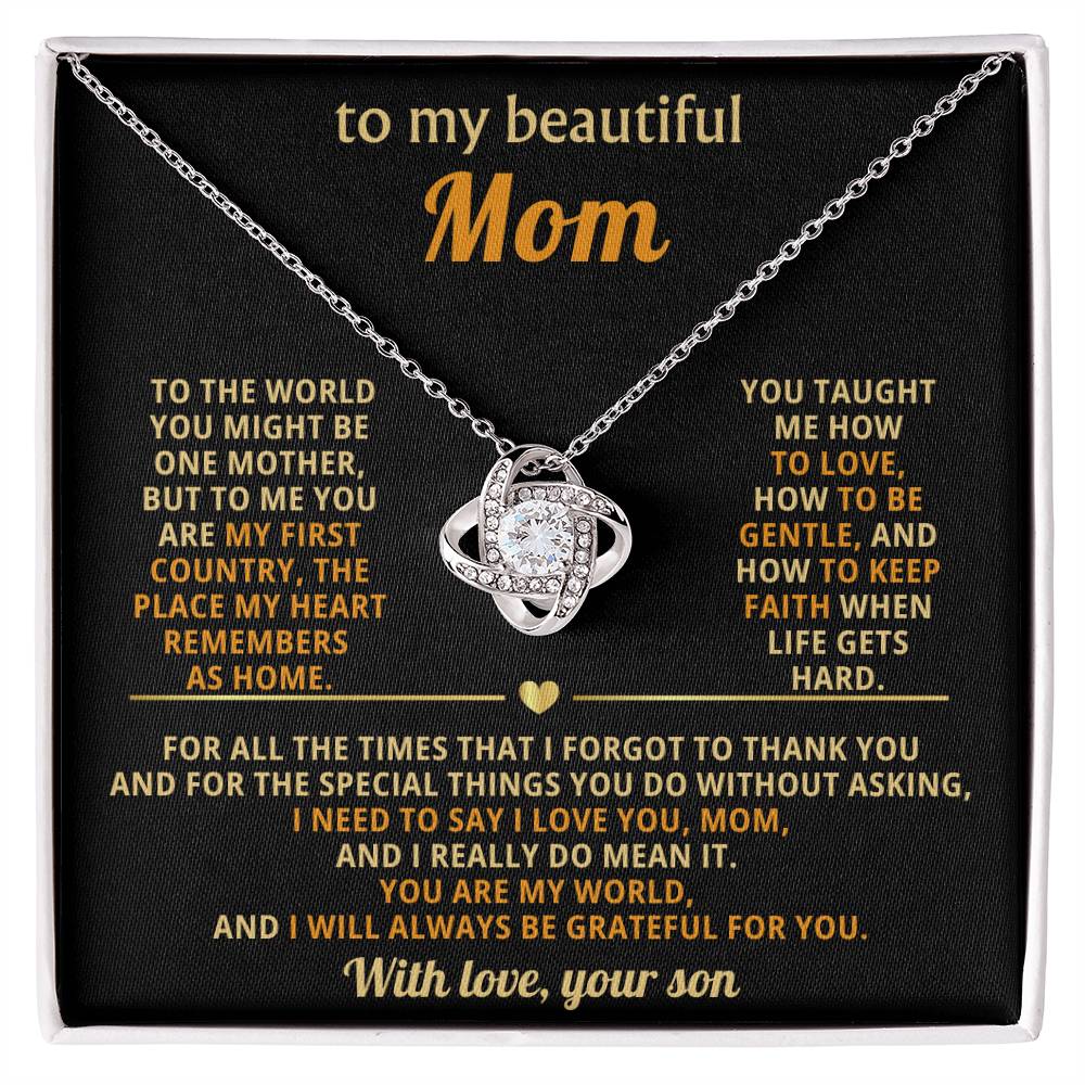 To My Mom, You taught me how to love, how to be gentle