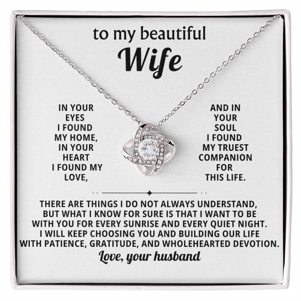 To my beautiful Wife, in your soul I found my truest companion for this life