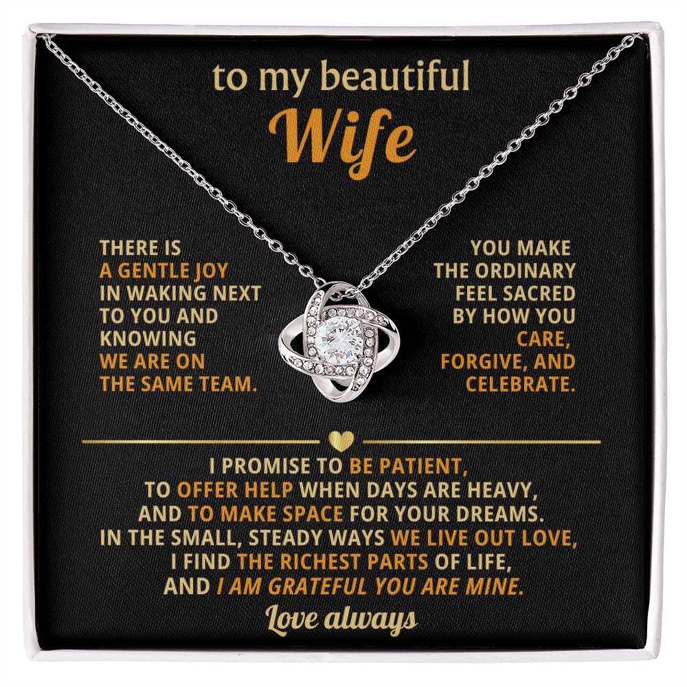 To my beautiful Wife, I find the richest parts of life, and I am grateful you are mine.