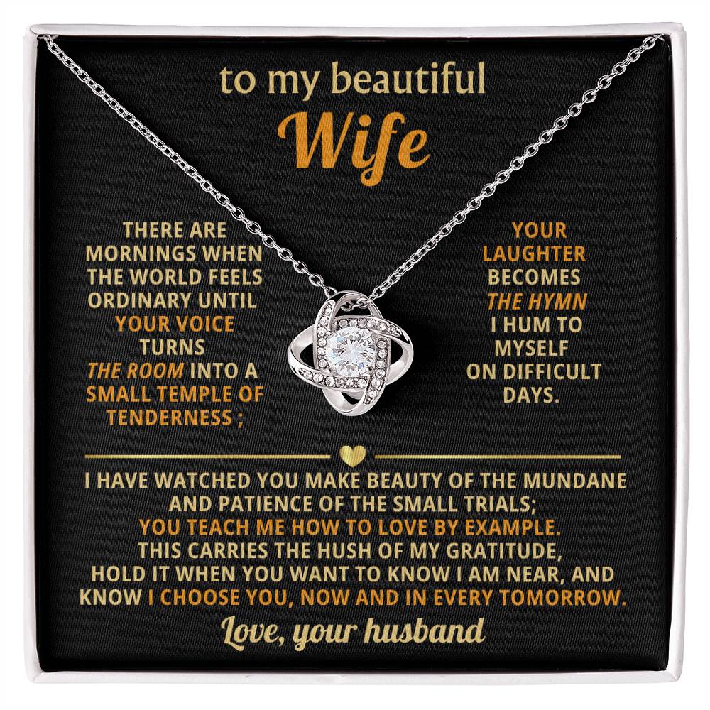 To my beautiful Wife, You teach me how to love by example
