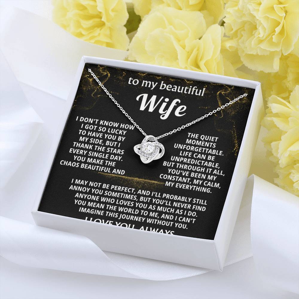 To My Wife, You make my life beautiful.