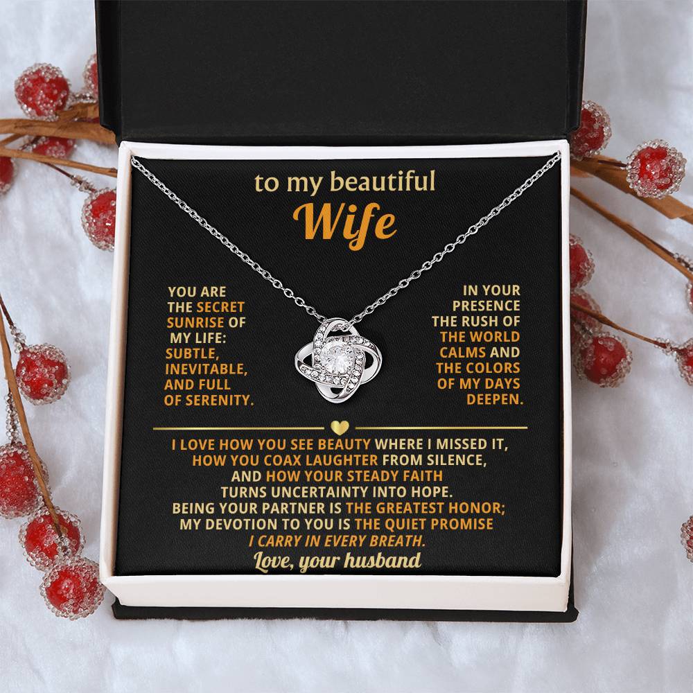 To my beautiful Wife, You are the secret sunrise of my life