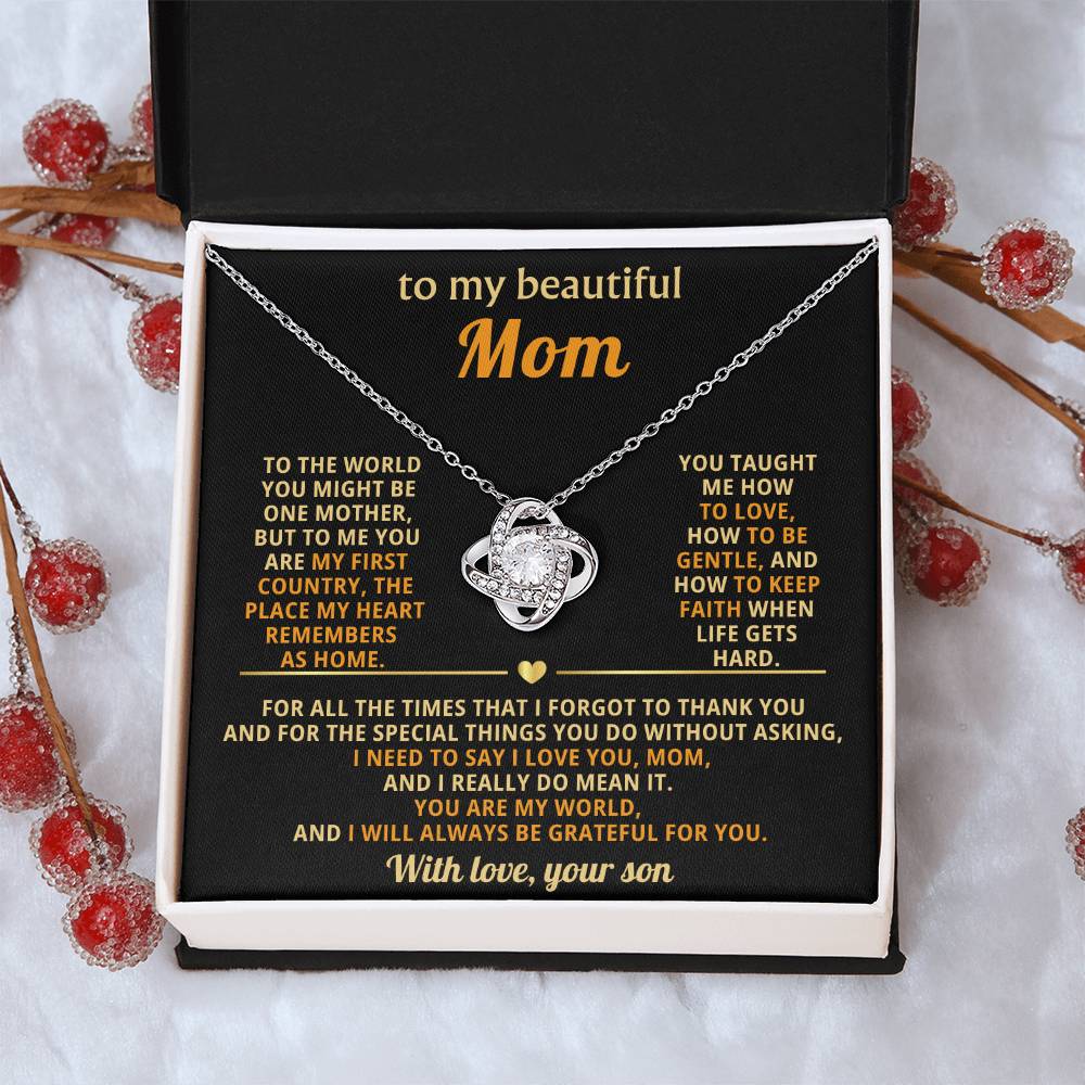 To My Mom, You taught me how to love, how to be gentle
