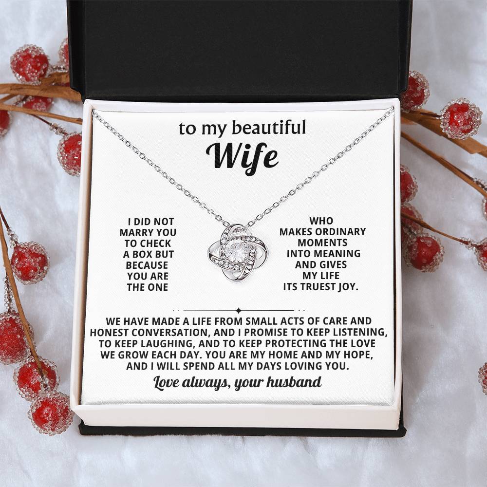 To my beautiful wife, You are the one who makes ordinary moments into meaning