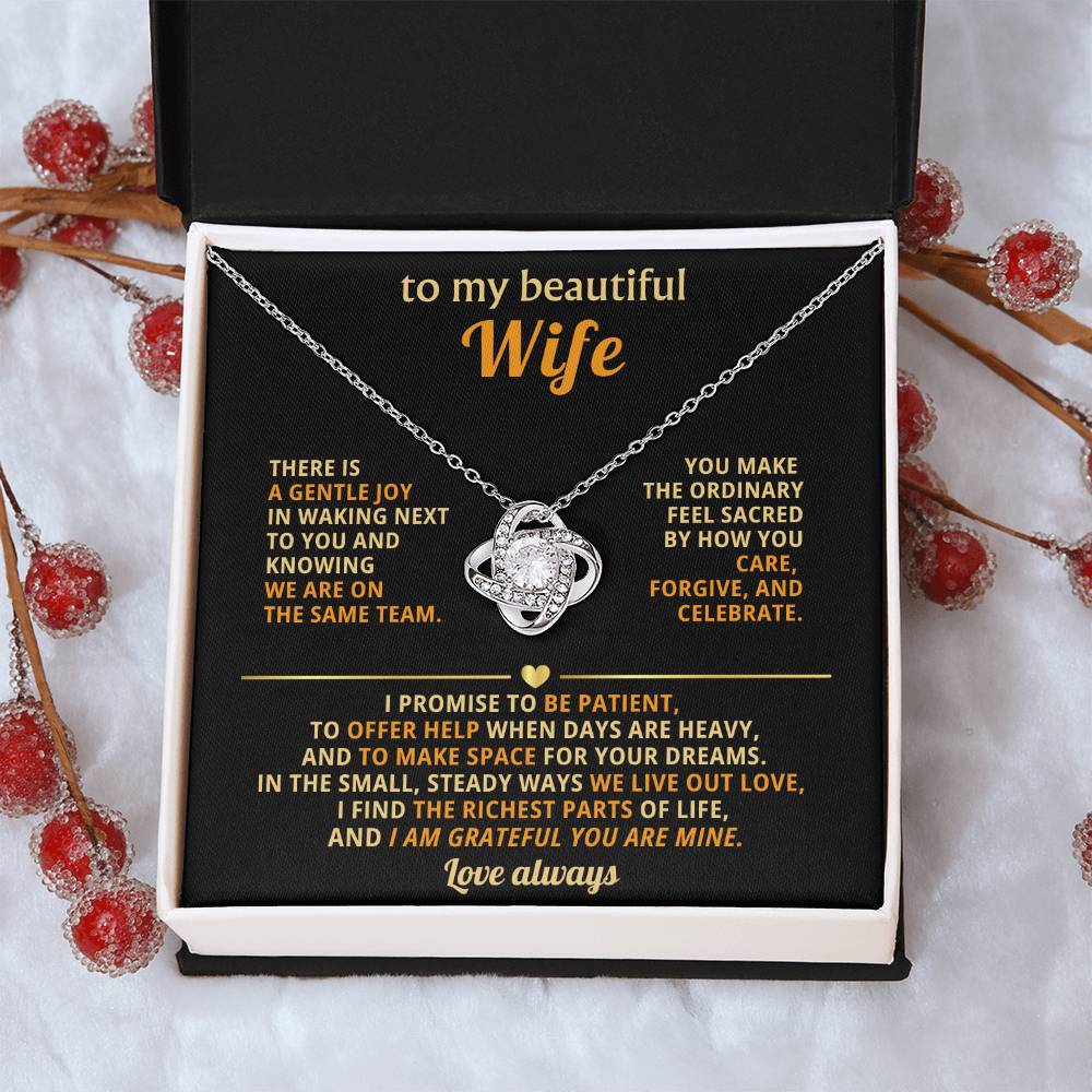 To my beautiful Wife, I find the richest parts of life, and I am grateful you are mine.