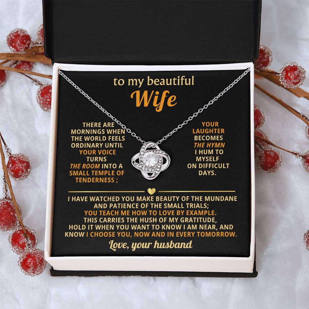 To my beautiful Wife, You teach me how to love by example