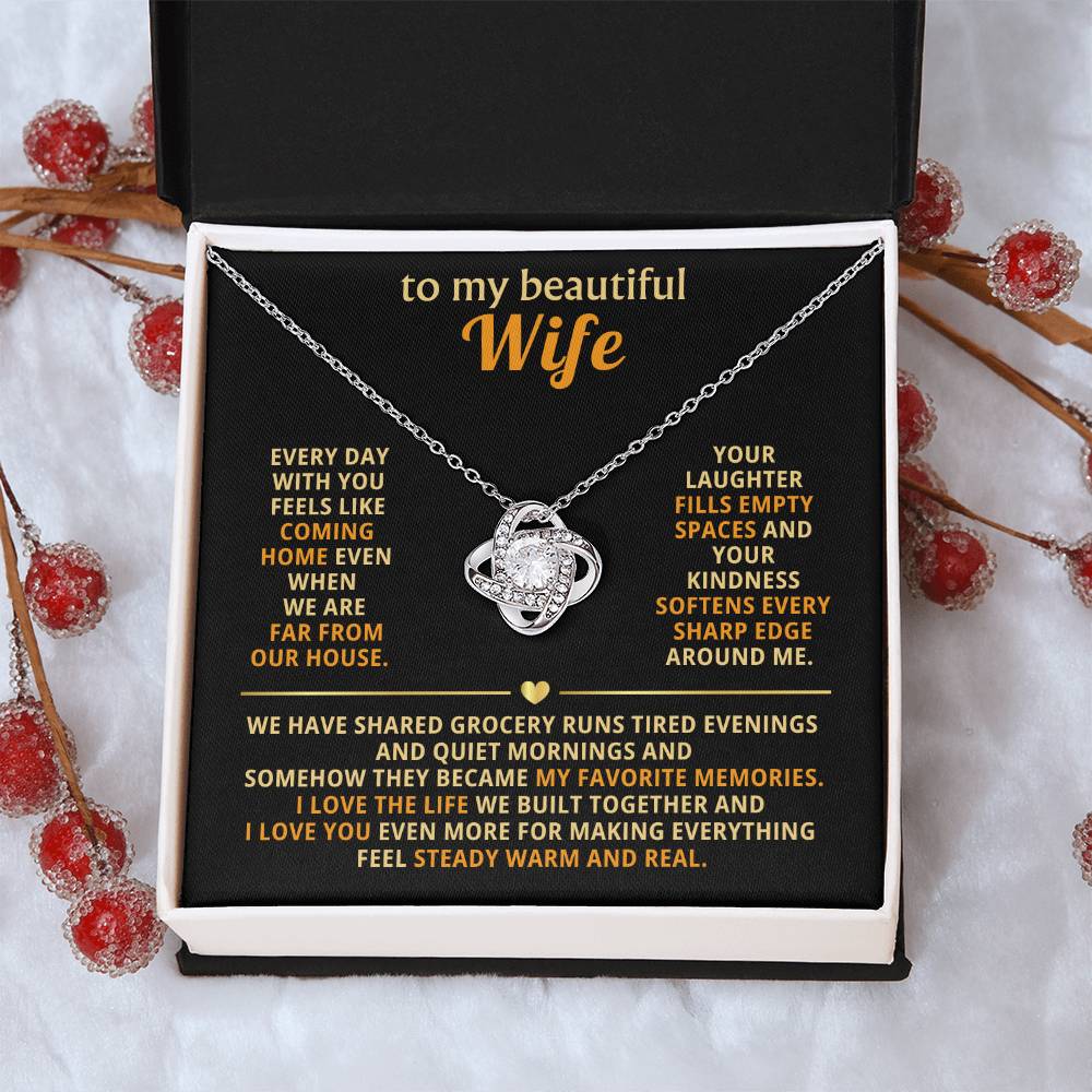 To my beautiful wife, I love the life we built together