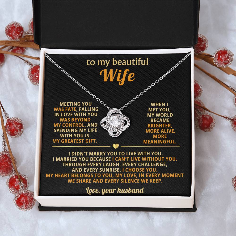 To my beautiful Wife, Spending my life with you is my greatest gift