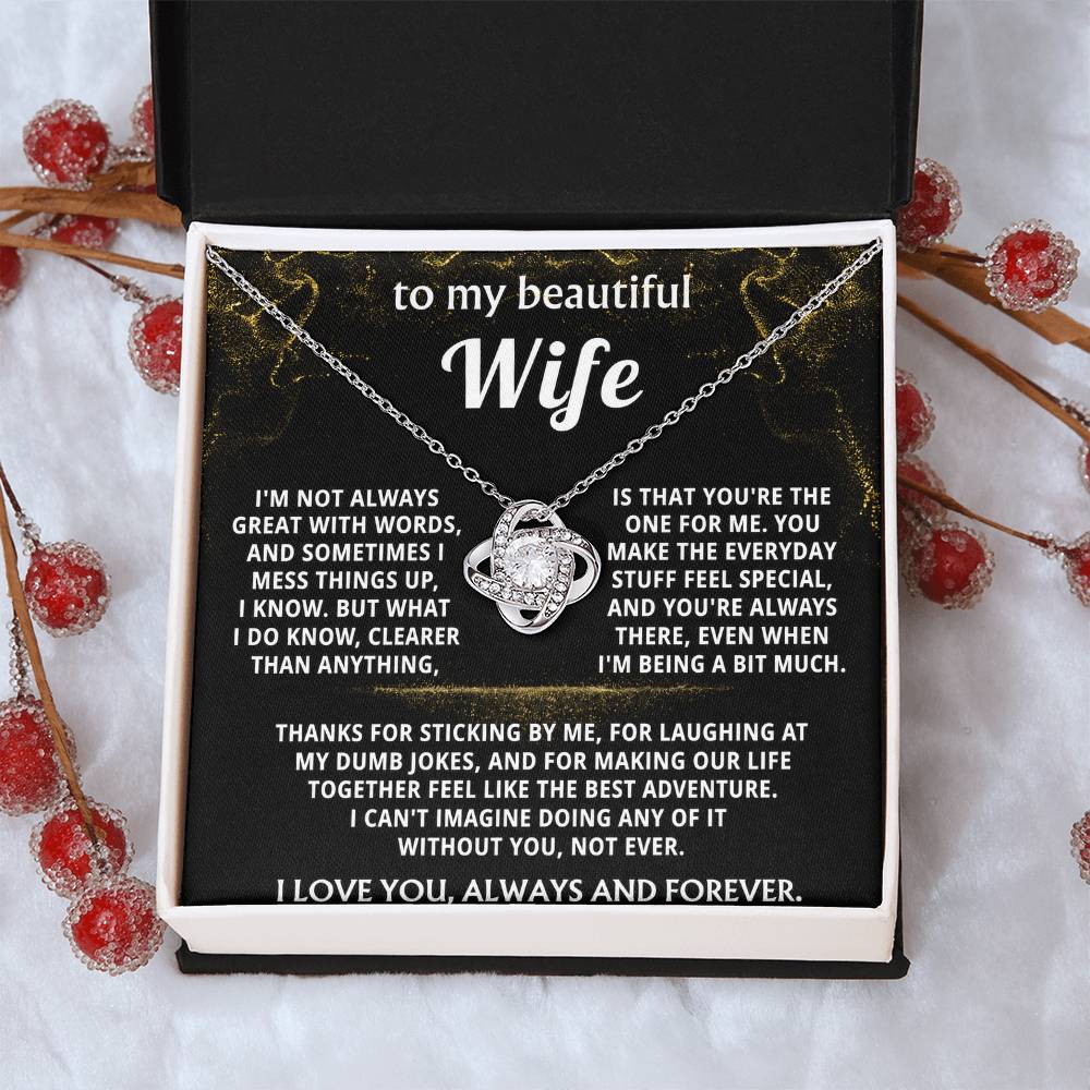 To My Wife, You make everyday feel like an adventure.