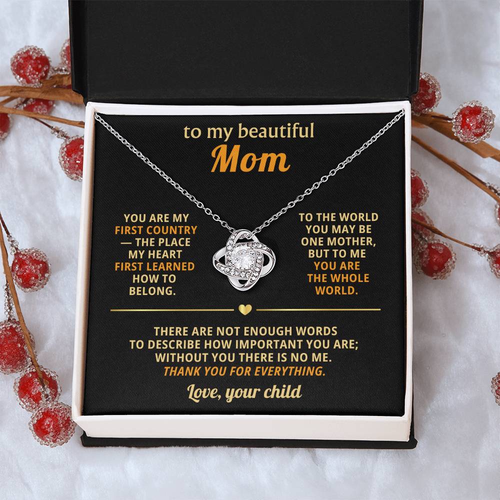 To my beautiful Mom, without you there is no me
