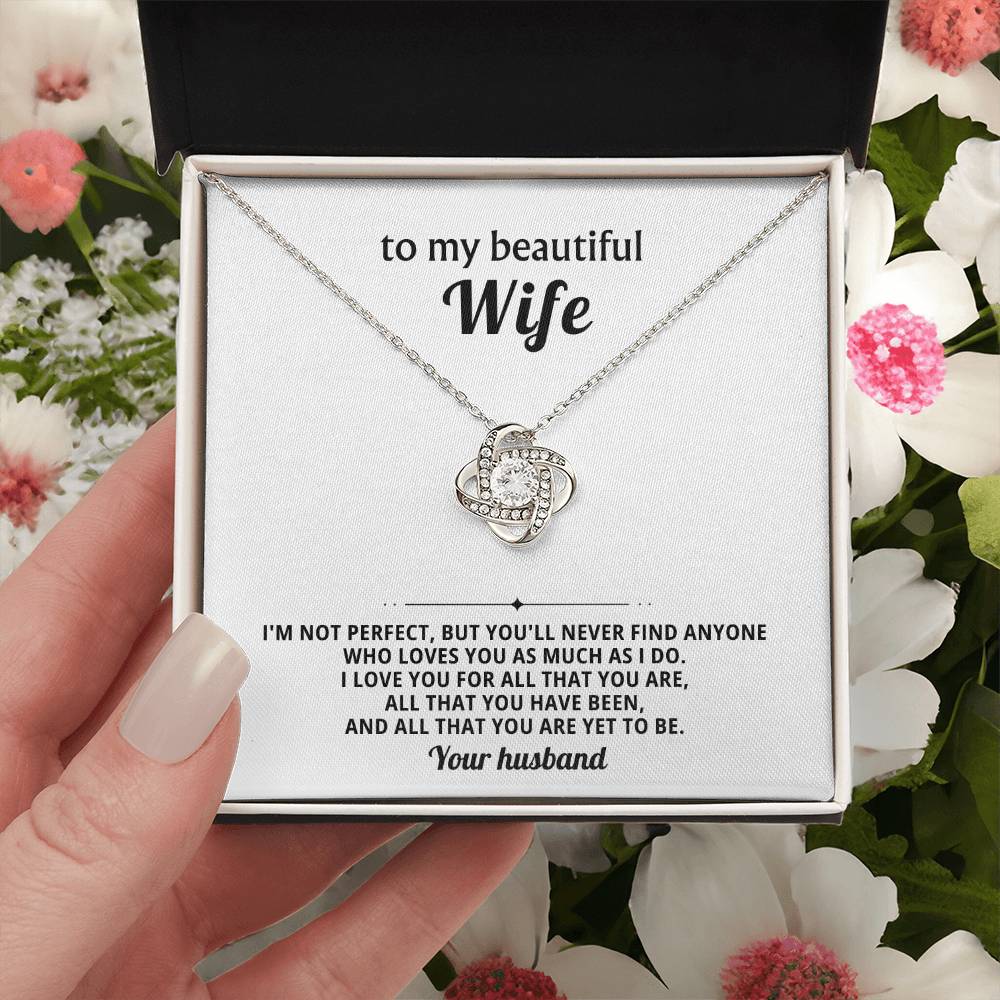 To my beautiful wife, I love you for all that you are, all that you have been