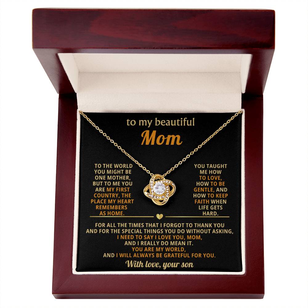 To My Mom, You taught me how to love, how to be gentle