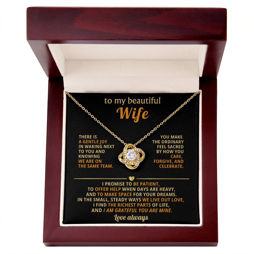 To my beautiful Wife, I find the richest parts of life, and I am grateful you are mine.
