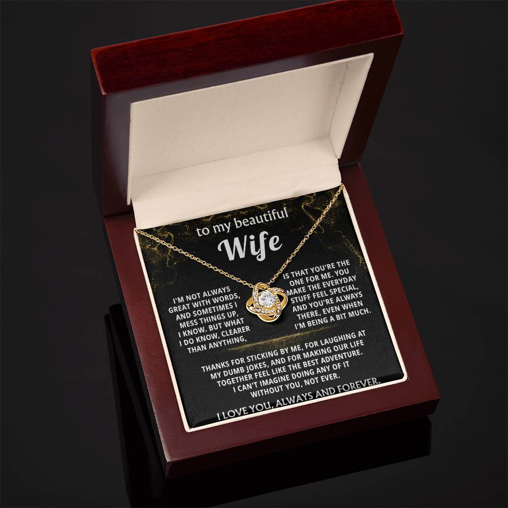 To My Wife, You make everyday feel like an adventure.