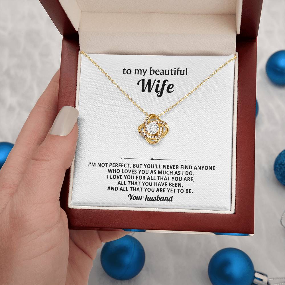 To my beautiful wife, I love you for all that you are, all that you have been
