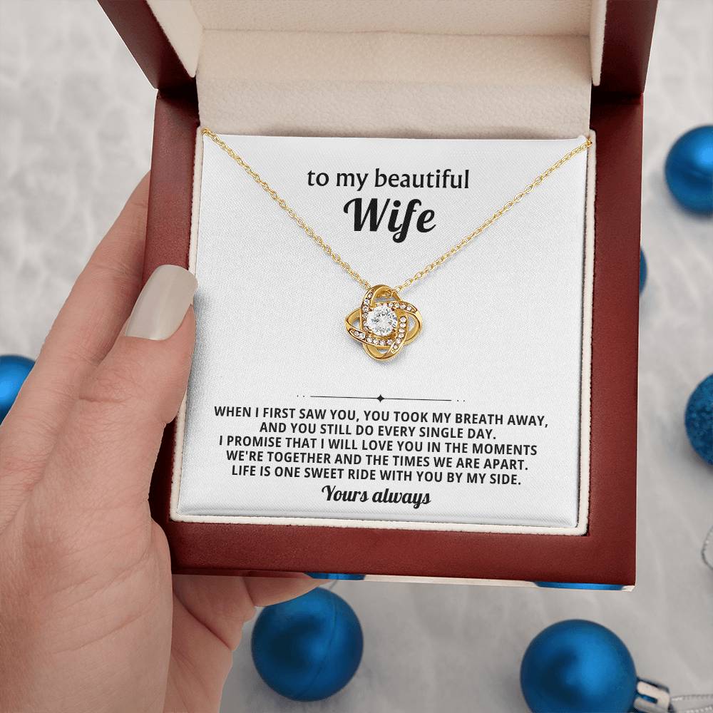 To my beautiful wife, I promise that I will love you in the moments we're together