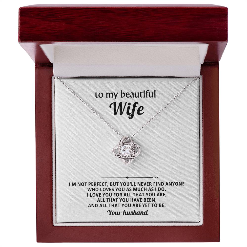 To my beautiful wife, I love you for all that you are, all that you have been