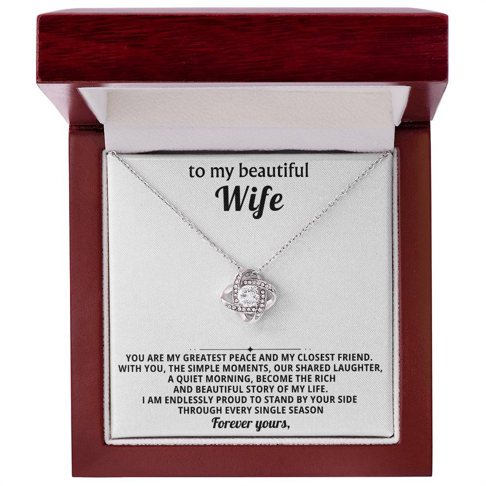 To my beautiful wife, You are my greatest peace and my closest friend