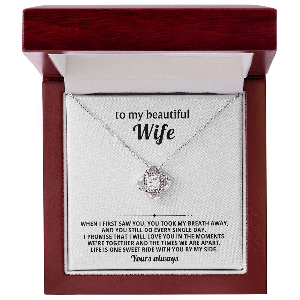 To my beautiful wife, I promise that I will love you in the moments we're together