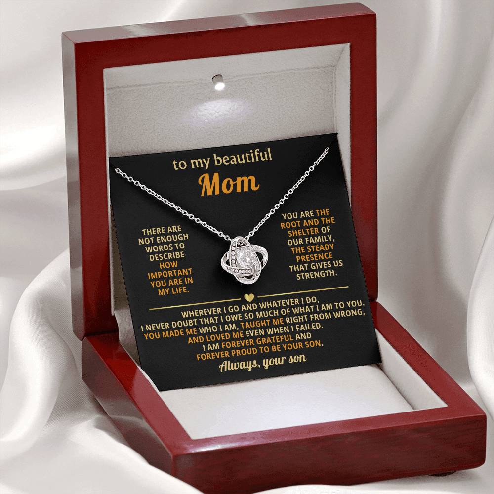 To My Mom, You are the root and the shelter of our family