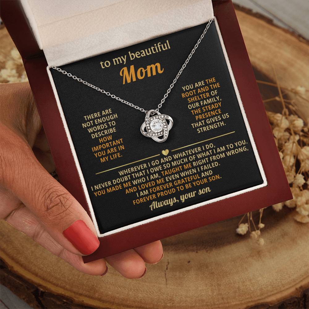 To My Mom, You are the root and the shelter of our family