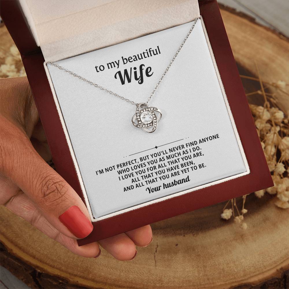 To my beautiful wife, I love you for all that you are, all that you have been