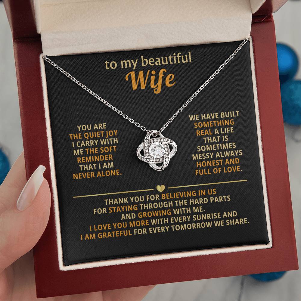 To my beautiful wife, You are the quiet joy I carry with me