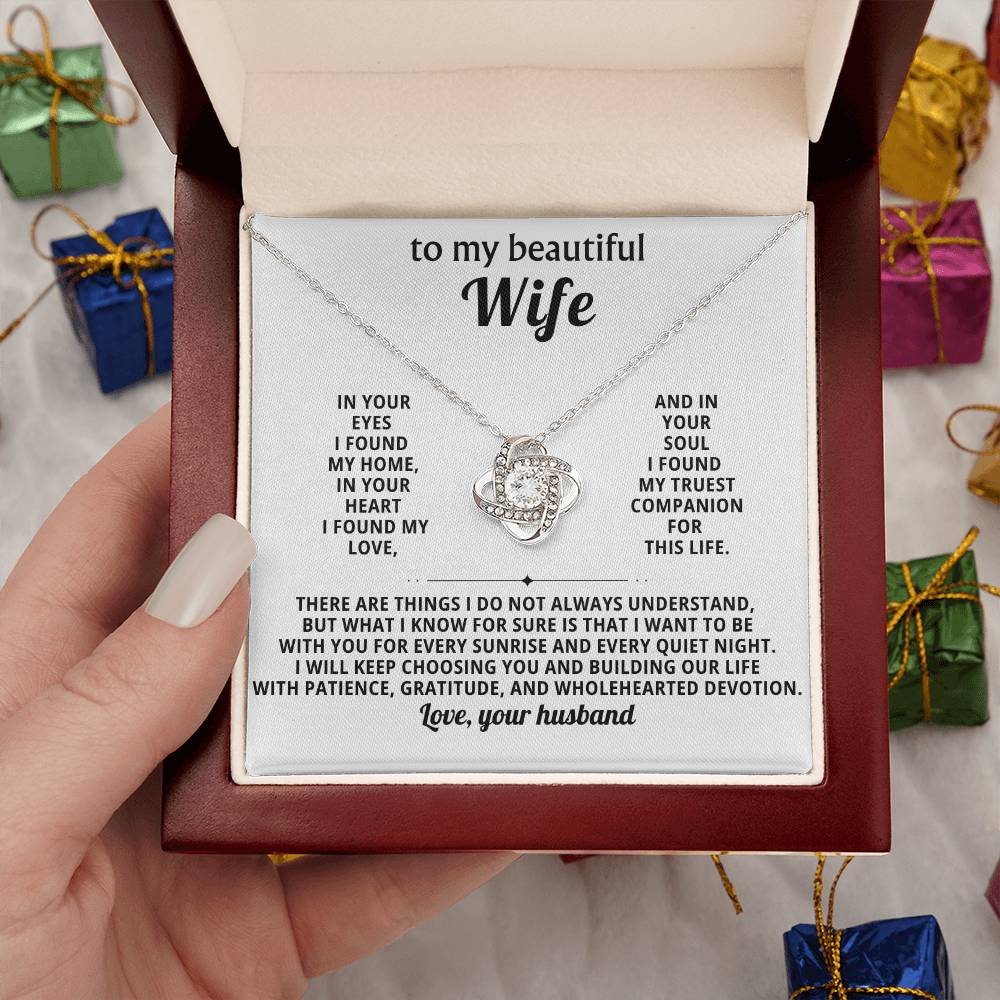 To my beautiful Wife, in your soul I found my truest companion for this life