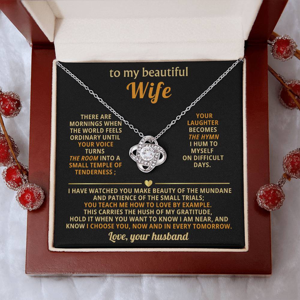 To my beautiful Wife, You teach me how to love by example
