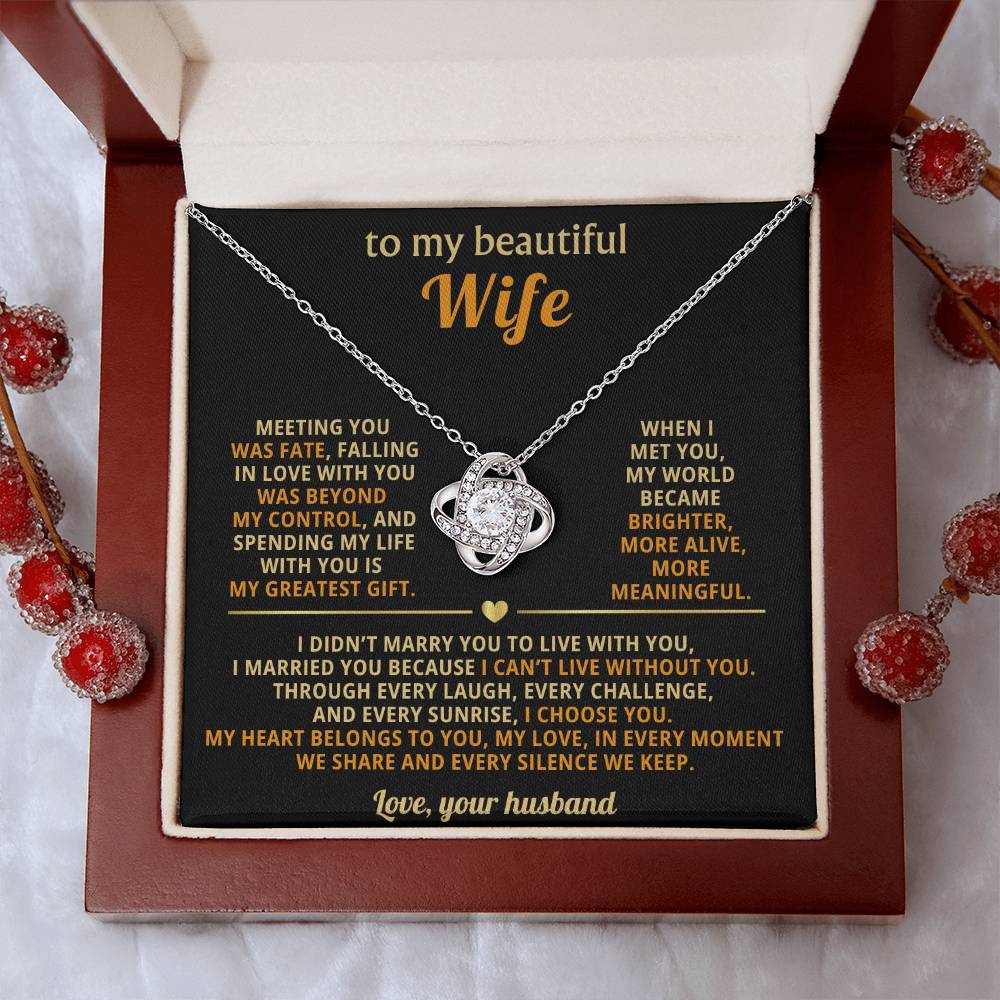 To my beautiful Wife, Spending my life with you is my greatest gift