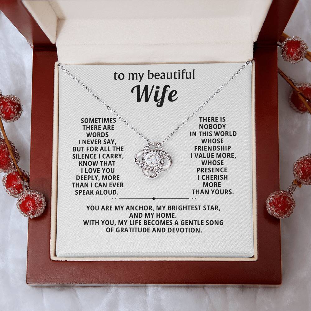 To my beautiful wife, my life becomes a gentle song of gratitude and devotion
