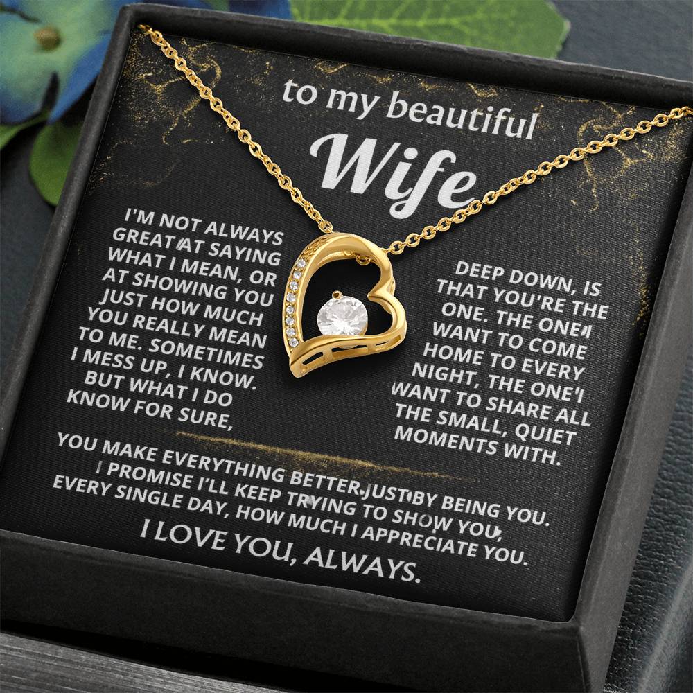 To My Wife, You make my world better.