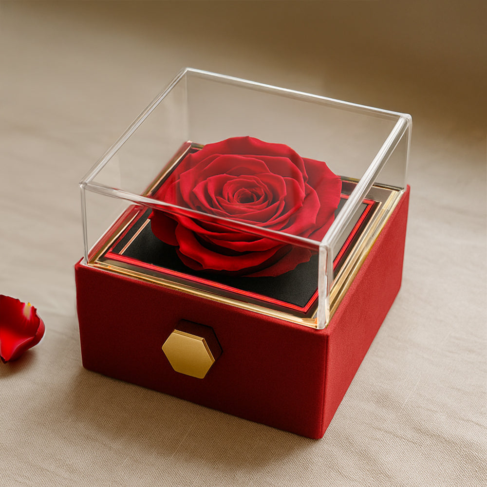 TO MY DAUGHTER THIS LION KNOT ROSE BOX