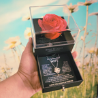 [To my wife] - One Rose, One Love box w/ Romantic Message Card