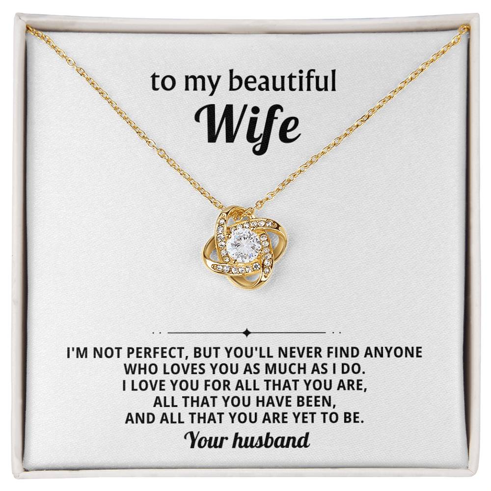 To my beautiful wife, I love you for all that you are, all that you have been