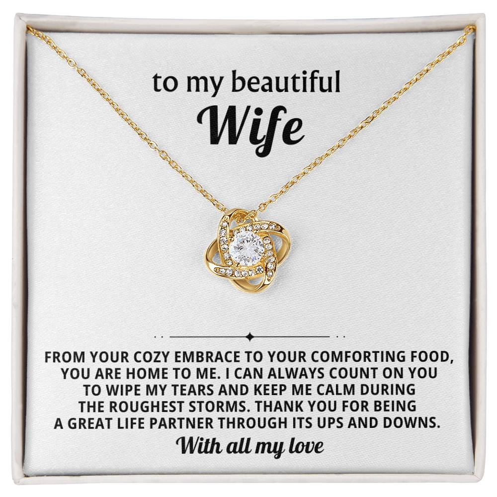 To my beautiful wife, I can always count on you to wipe my tears and keep me calm during the roughest storms