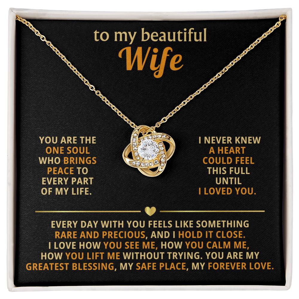 To my beautiful wife, you are the one soul who brings peace to every part of my life