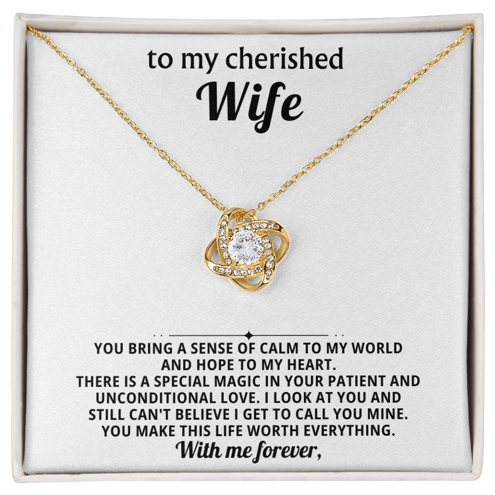 To my cherished wife, You bring a sense of calm to my world and hope to my heart