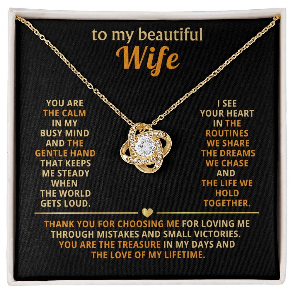 To my beautiful wife, You are the calm in my busy mind